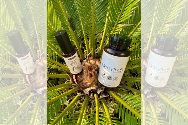 A Journey in Debunking Hair Loss Myths: Embracing Proactive Care with Reeviveh